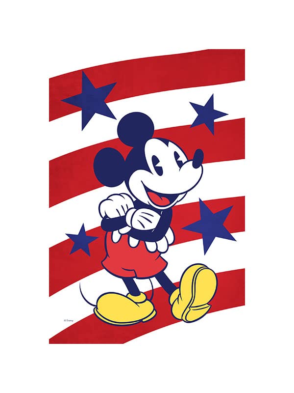 Amazon.com : Flagology, Disney Mickey Mouse Stars and Stripes