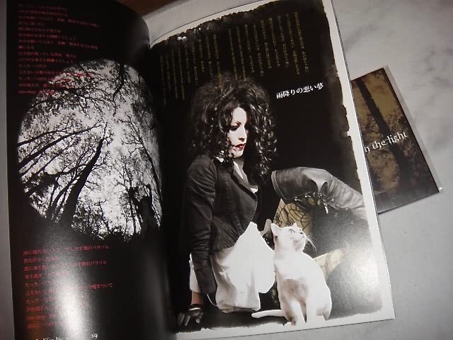 Amazon.co.jp: 眞呼（deadman）/CD+本/buried with the light/kein