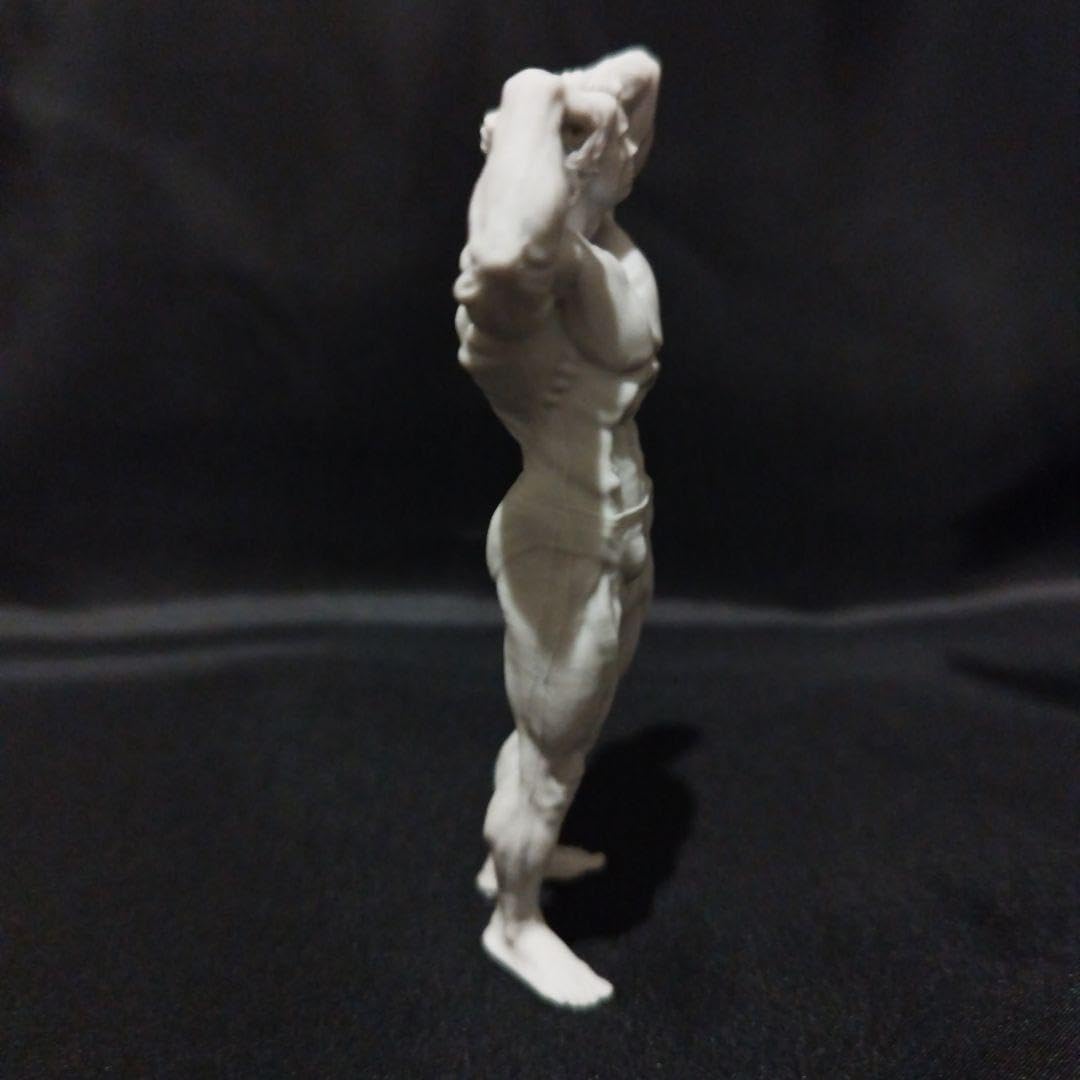 Amazon.co.jp: ボディビル 1 18フィギュア フィジーク 筋肉 : おもちゃ