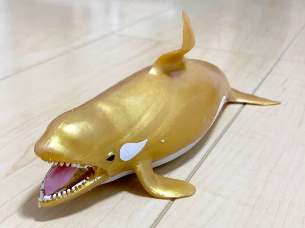 Amazon.co.jp: ラスト くじら&Co. WHALES&Co. ビッグ レア 金 シャチ