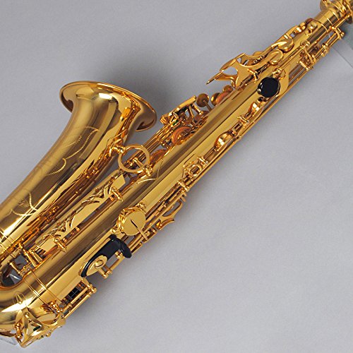 Amazon | DeYu A500 入門用アルトサックス (デユー) | サックス | 楽器