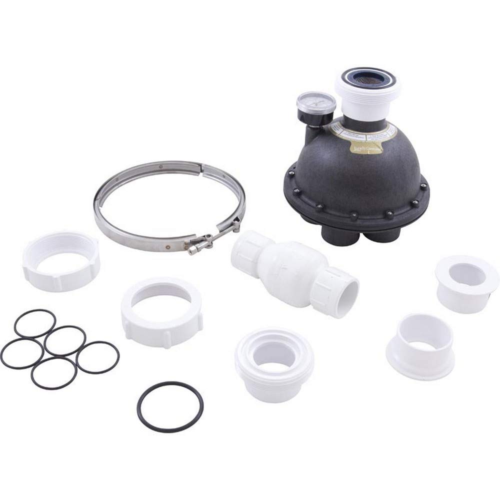 Amazon.com: Zodiac 5-9-2000 Caretaker Complete 5-Port Water Valve