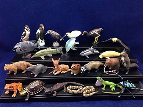Amazon | 海洋堂チョコエッグ 日本の動物 第5弾ノーマル24種フルコンプ