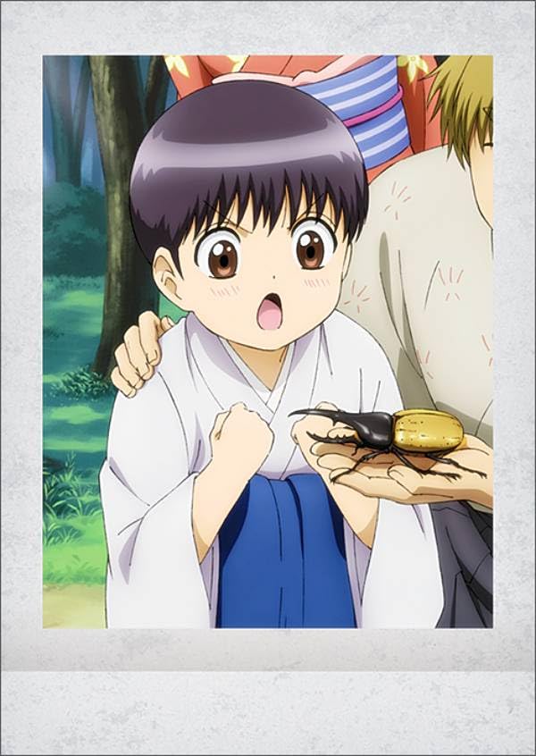 Amazon.co.jp: 【25.志村新八】 銀魂 ぱしゃこれ 其ノ参 : ホビー