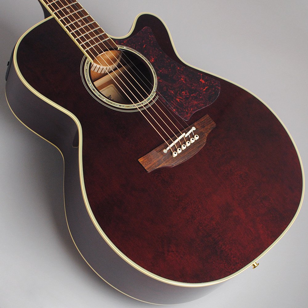 Amazon | Takamine DMP551C WR エレアコギター 500シリーズ (タカミネ