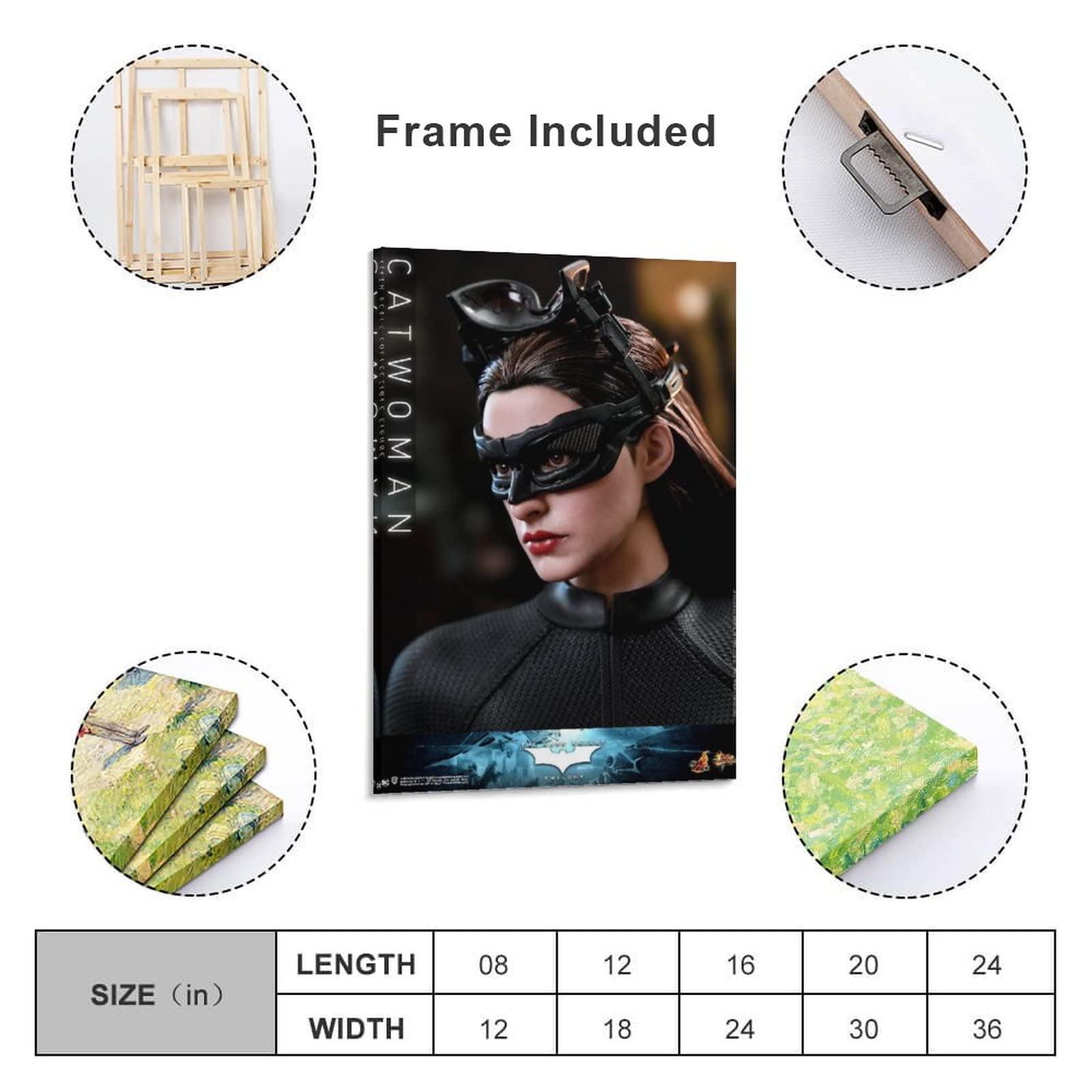 Amazon.co.jp: アン・ハサウェイが演じた『ダークナイト ライジング