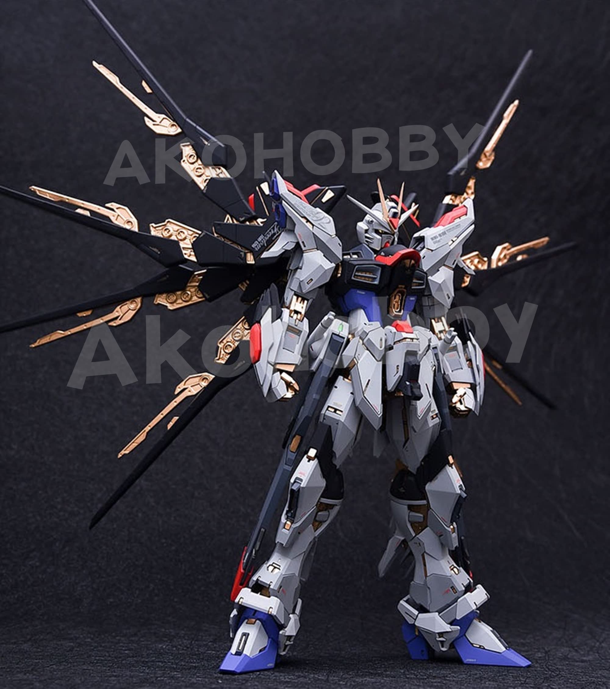 Amazon | MG 1/100 本体 ストライクフリーダムガンダム [MGEXではない