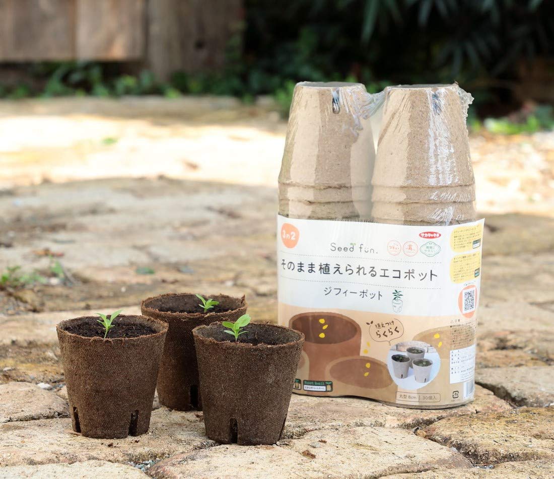 Amazon.co.jp: サカタのタネ そのまま植えられるエコポット ジフィー