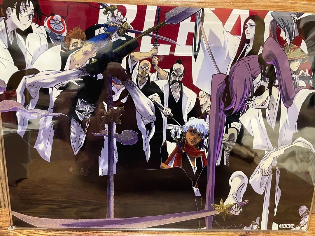 Amazon.co.jp: BLEACH 箔入りアクリルアート 初代護廷十三隊 : おもちゃ