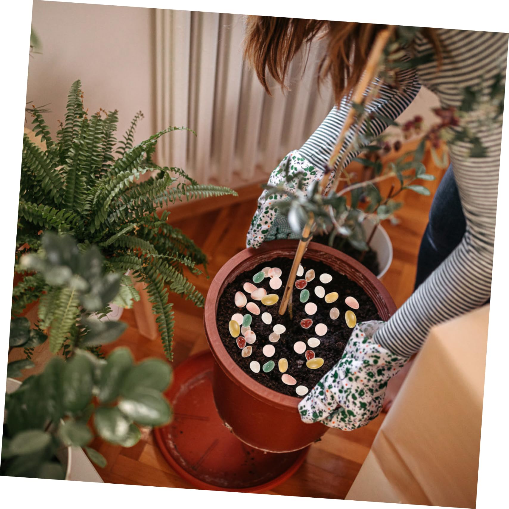 Amazon.co.jp: BESPORTBLE 盆栽用花瓶の小石500gセット 水槽や植木鉢の