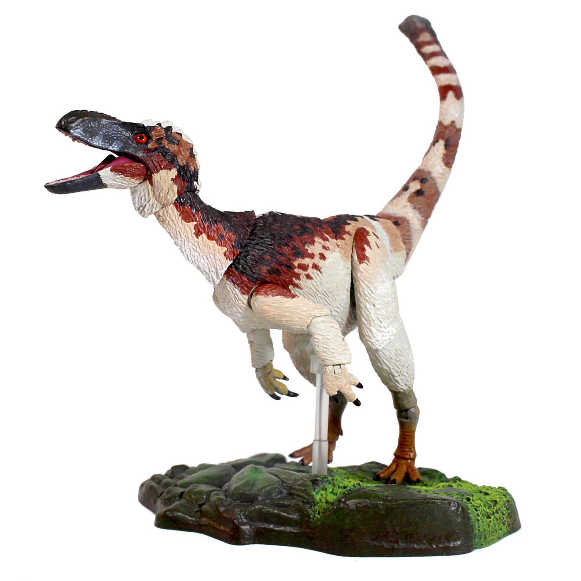 Amazon | 中生代の獣:Suskityrannus Hazelae - 1/18スケール T-Rex