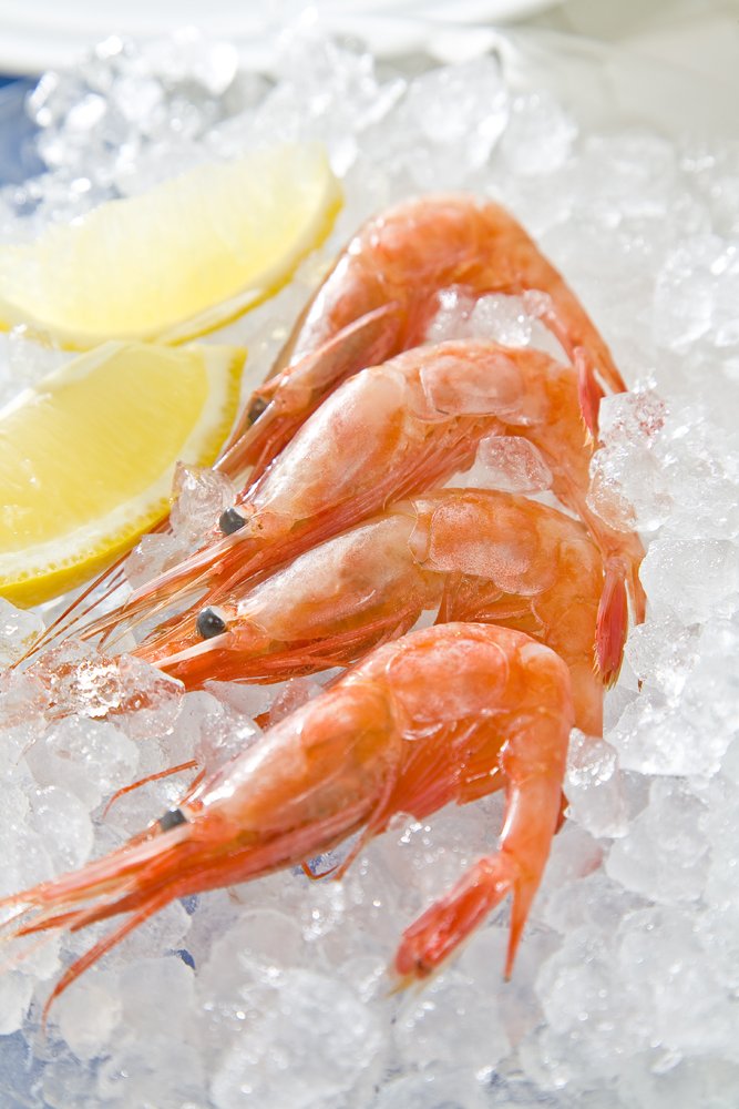 Amazon | 池永鉄工 かき氷機 手動 日本製 アイスクラッシャー スワン