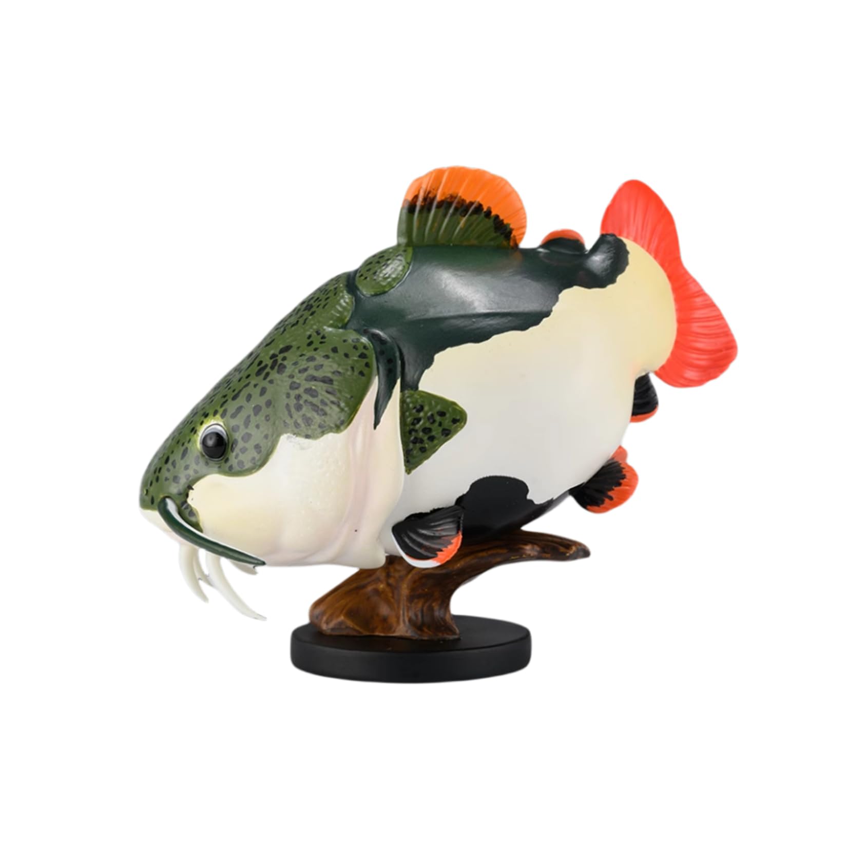 Amazon | BACALYSO | 動物惑星 ガチャガチャ 観賞魚 魚 5CM級 ダトニオ