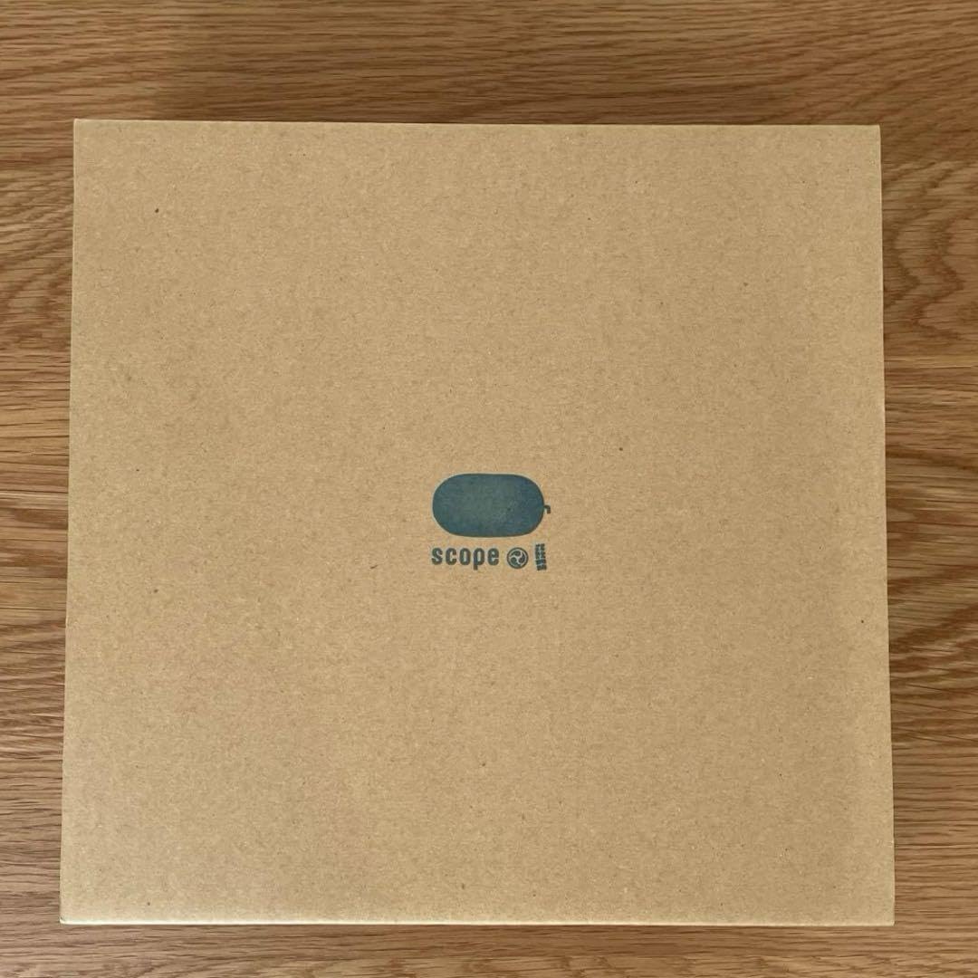 Amazon.co.jp: 東屋 伊賀石本花絵皿 菜の束 和食器 Scope 箱付き