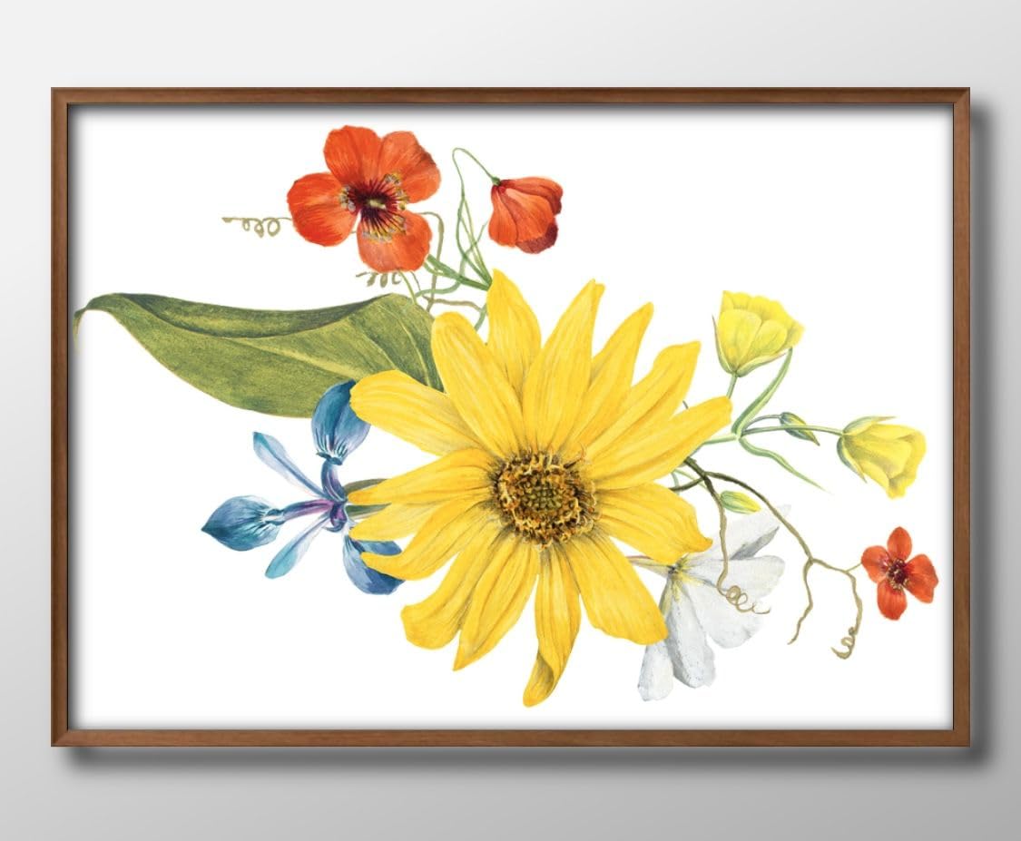 Amazon.co.jp: ビンテージイラスト フラワー 花 ボタニカル A3 サイズ