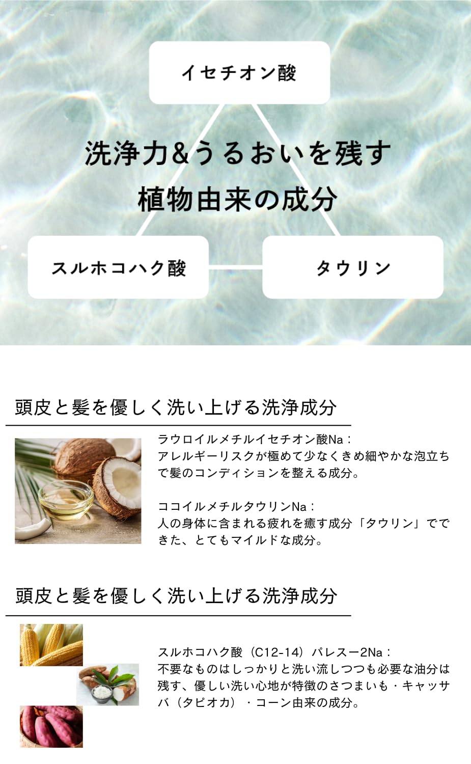 Amazon | cinque (サンク) オーガニック シャンプー& ニュートラル