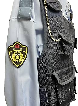 91mUz1M4KoL._AC_UF350,