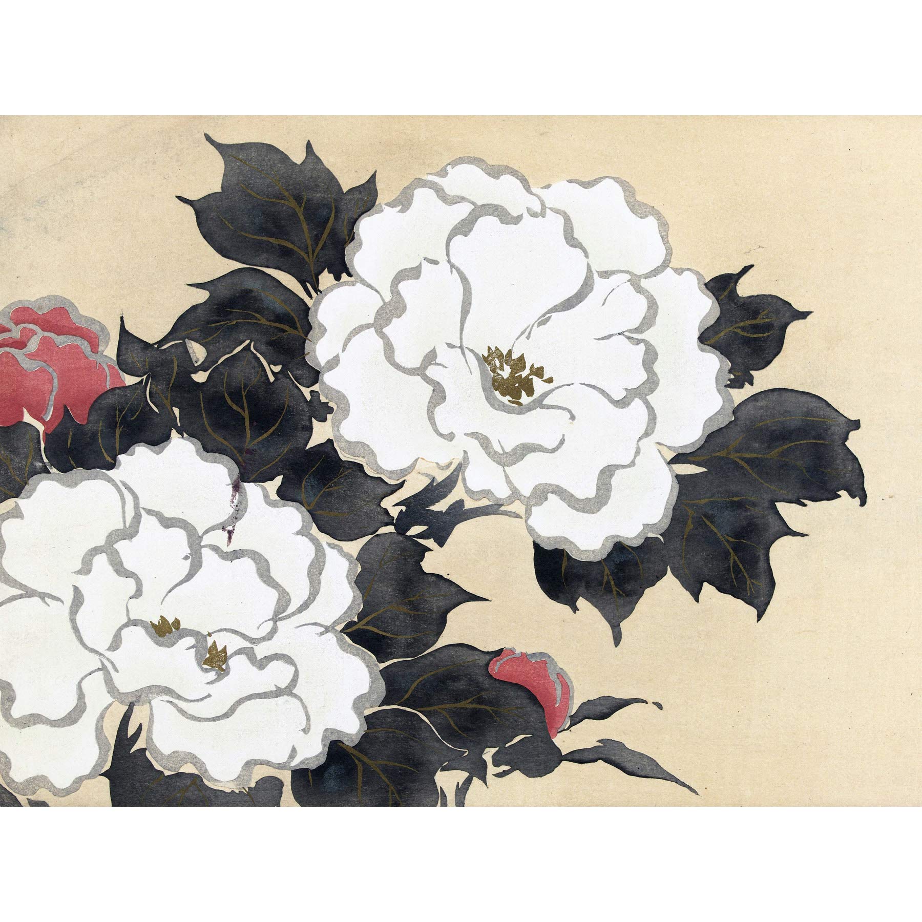 Amazon.com: Artery8 Kamisaka Sekka Peonies Flower Japanese