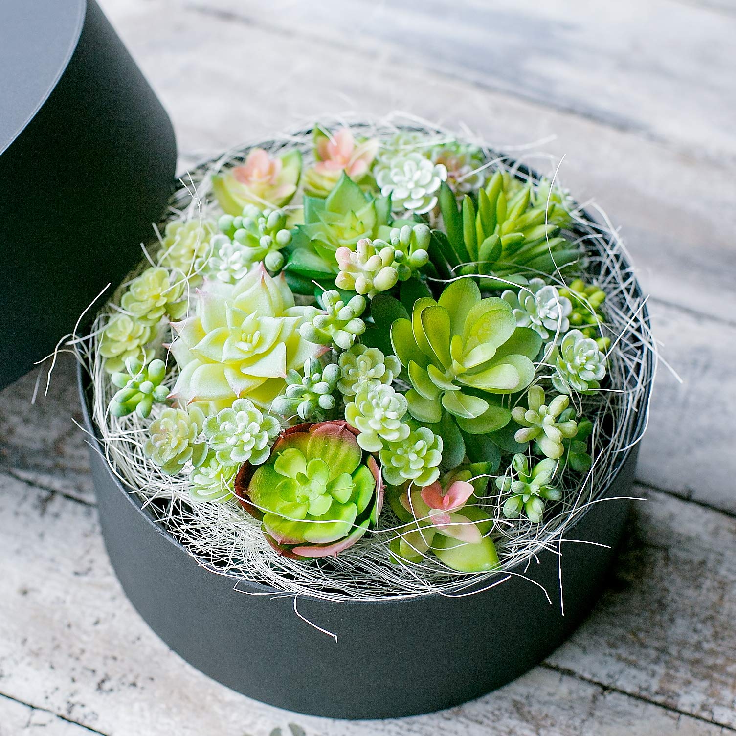 Amazon｜多肉植物 造花 寄せ植え ギフト 多肉フェイクグリーン