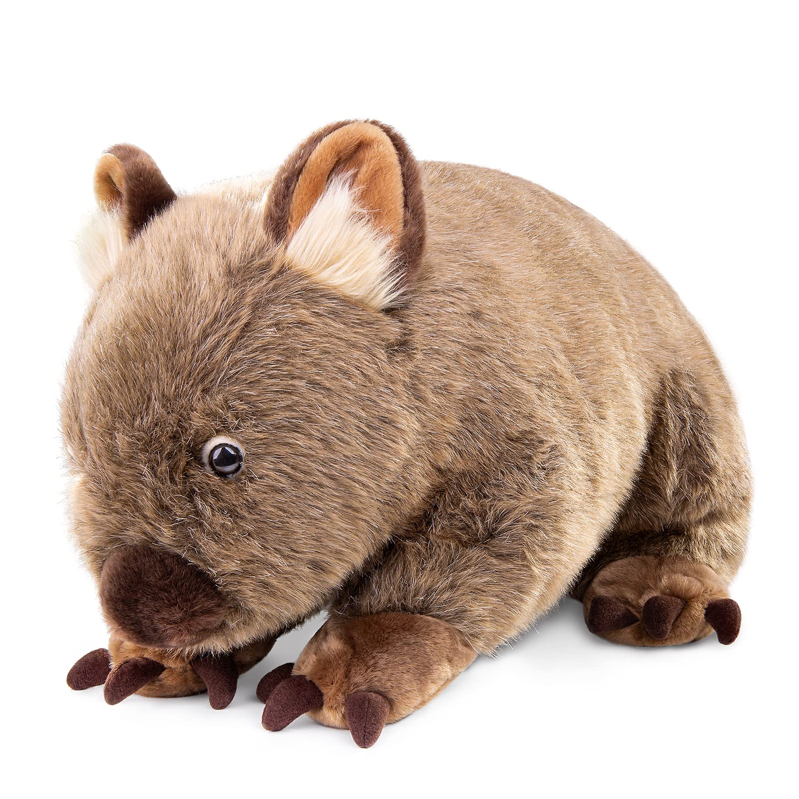 Amazon.co.jp: Frankiezhou Home Wombat Plush Toy - Lifelike 12