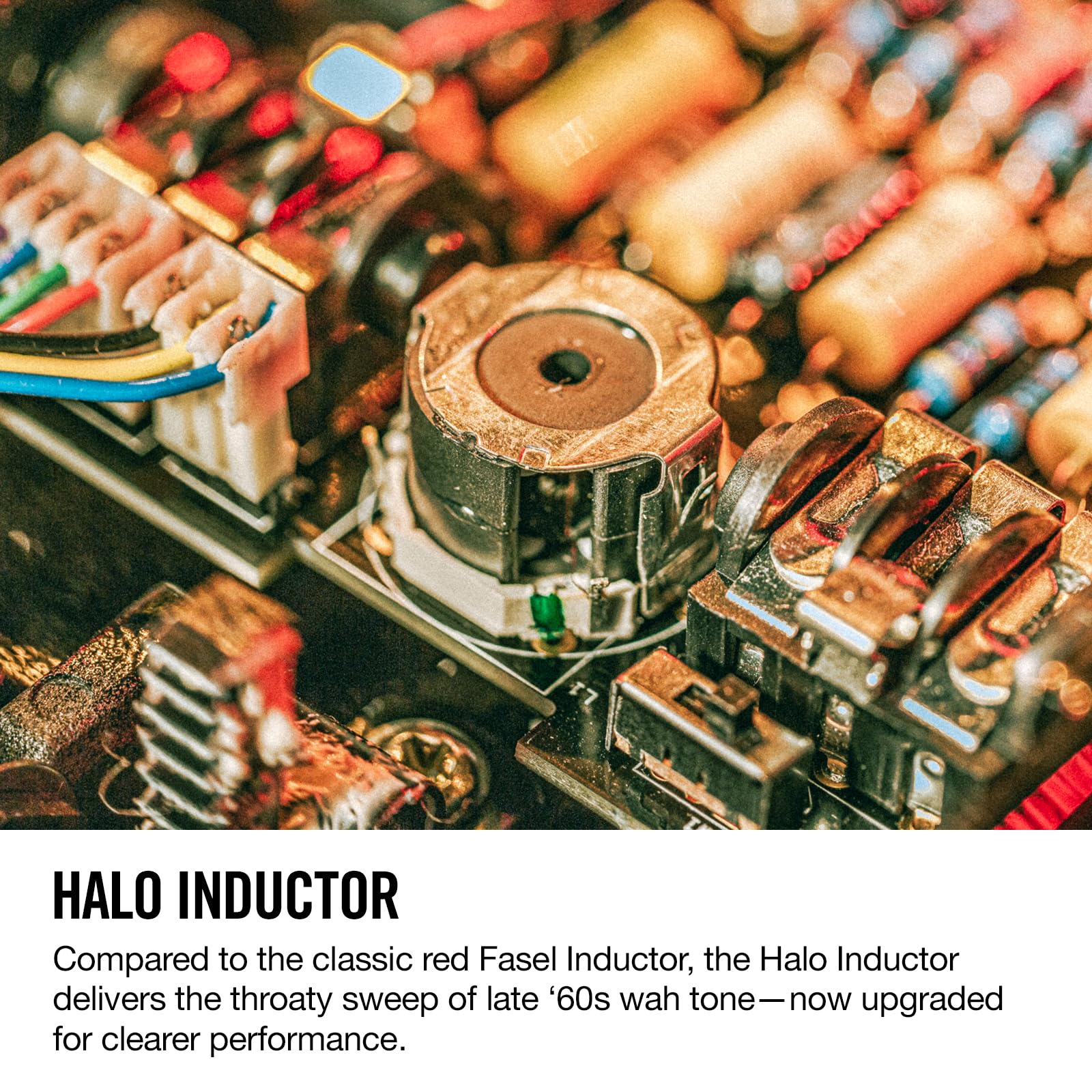 Amazon | Jim Dunlop ジム ダンロップ ジョー・ボナマッサ クライ