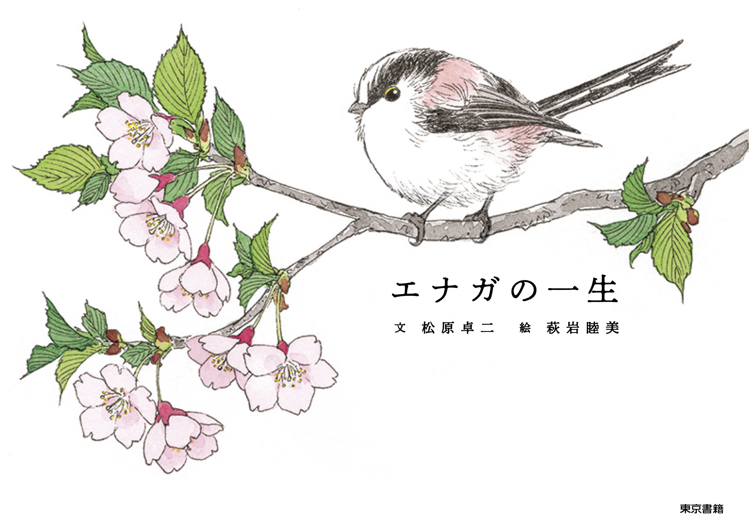 エナガの一生 | 松原卓二, 萩岩睦美 |本 | 通販 | Amazon