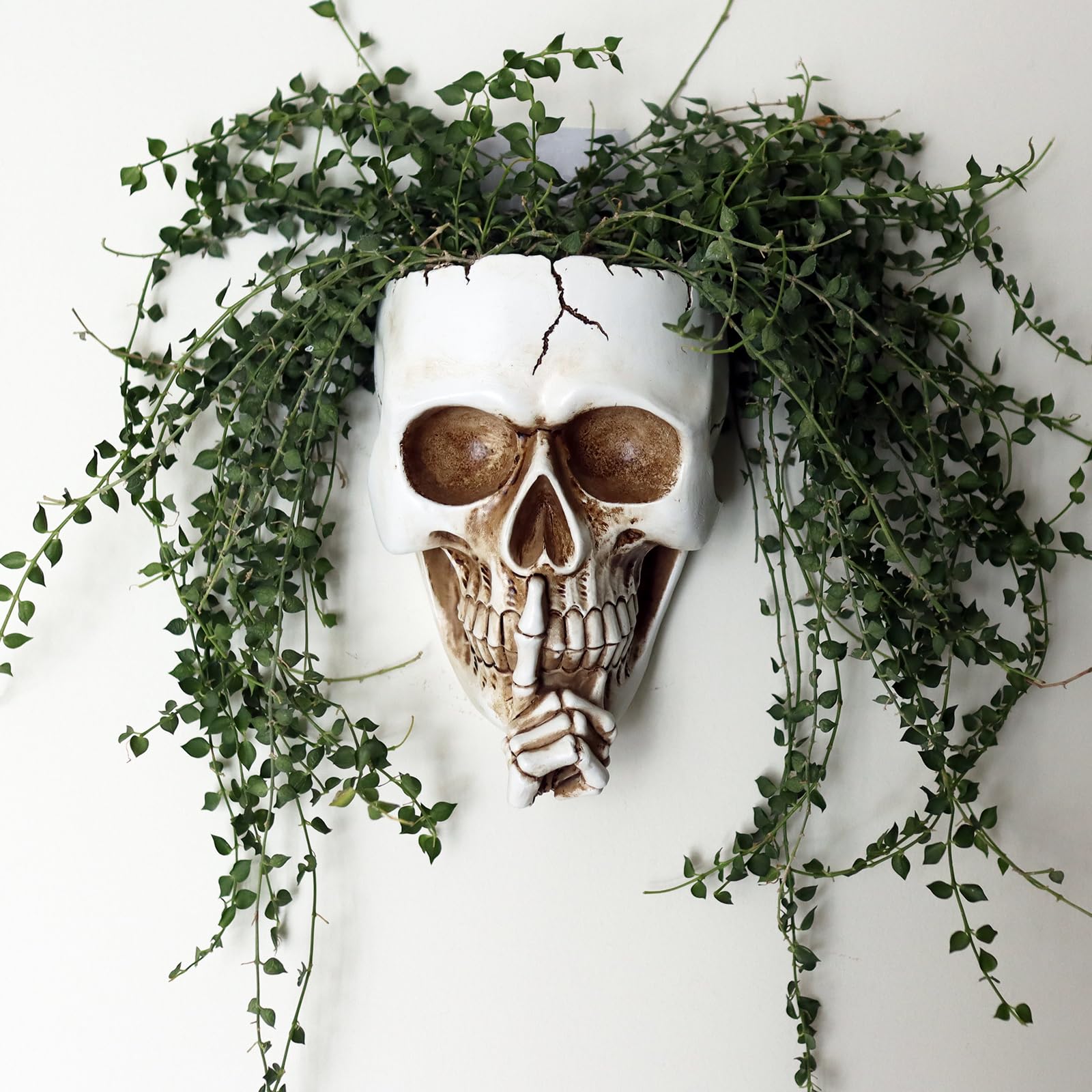 Amazon.com : Dolkgy Skull Wall Planter for Indoor Outdoor Plants