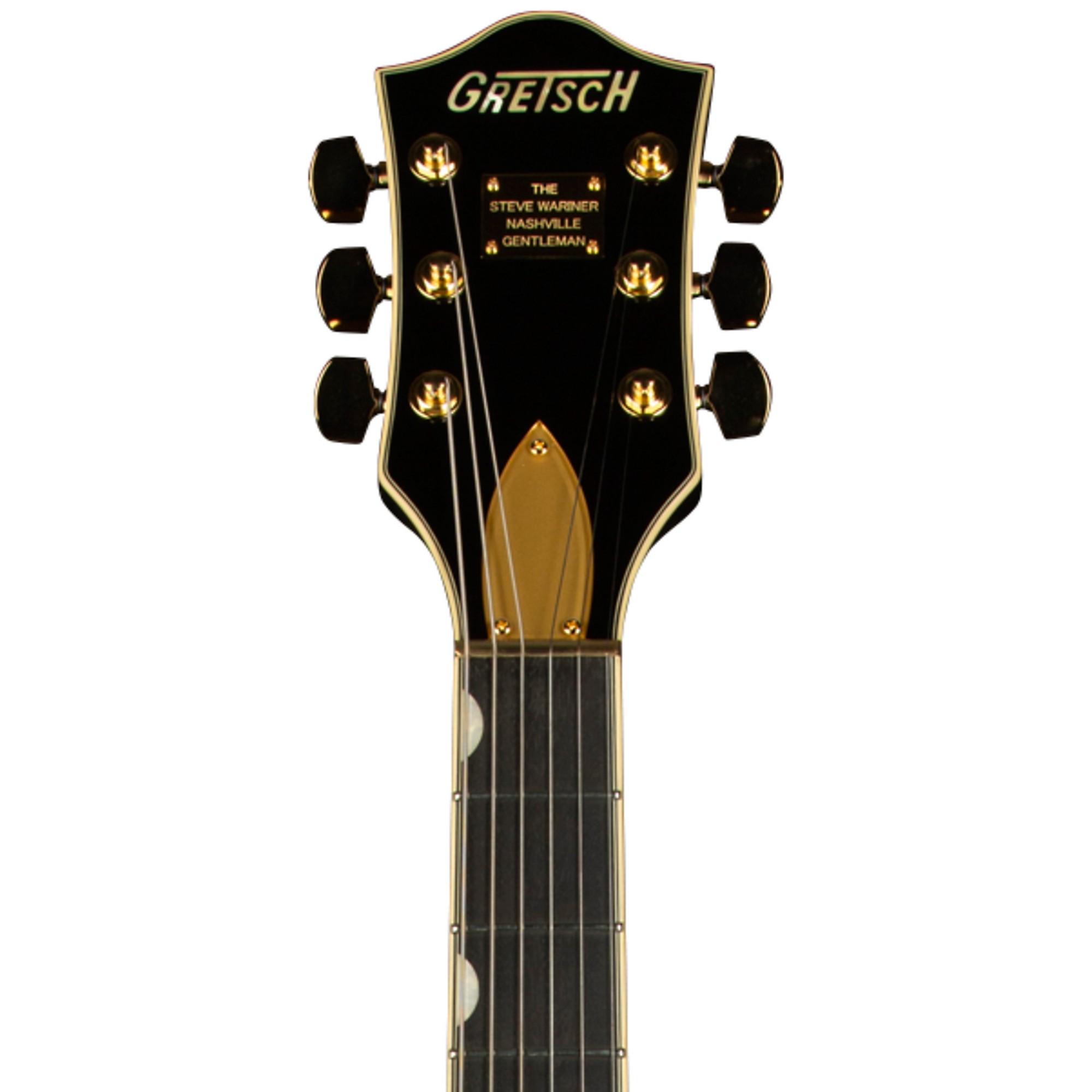 Gretsch Guitars G6120T-SW Steve Wariner Signature Nashville