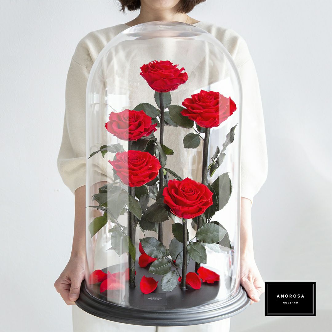 デスティニーローズ(5本立ち)/ブライトレッド （プリザーブドフラワー