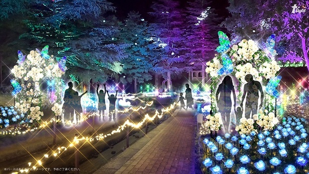 伊豆最大級の体感型イルミ「虹の郷サンクスイルミ」の2024年は輝く光に