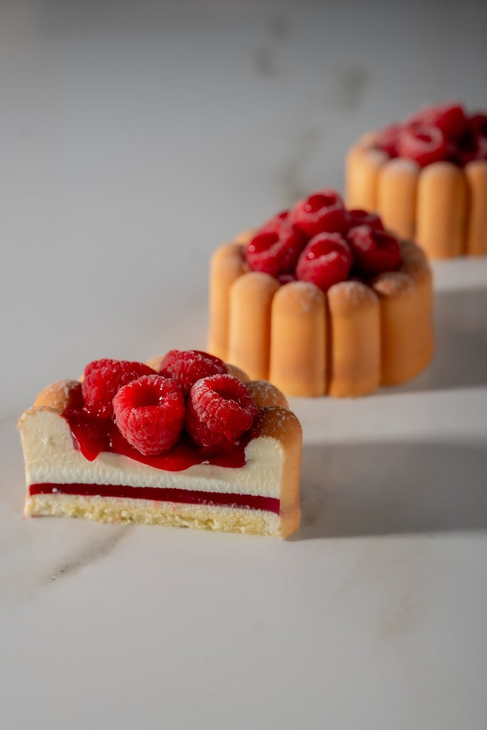 Charme PX43129 Silicone Mold for Single Portions | Pavoni Italia