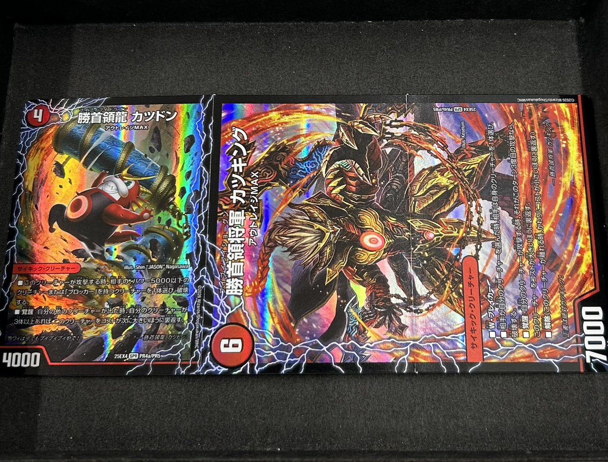 勝首領龍カツドン