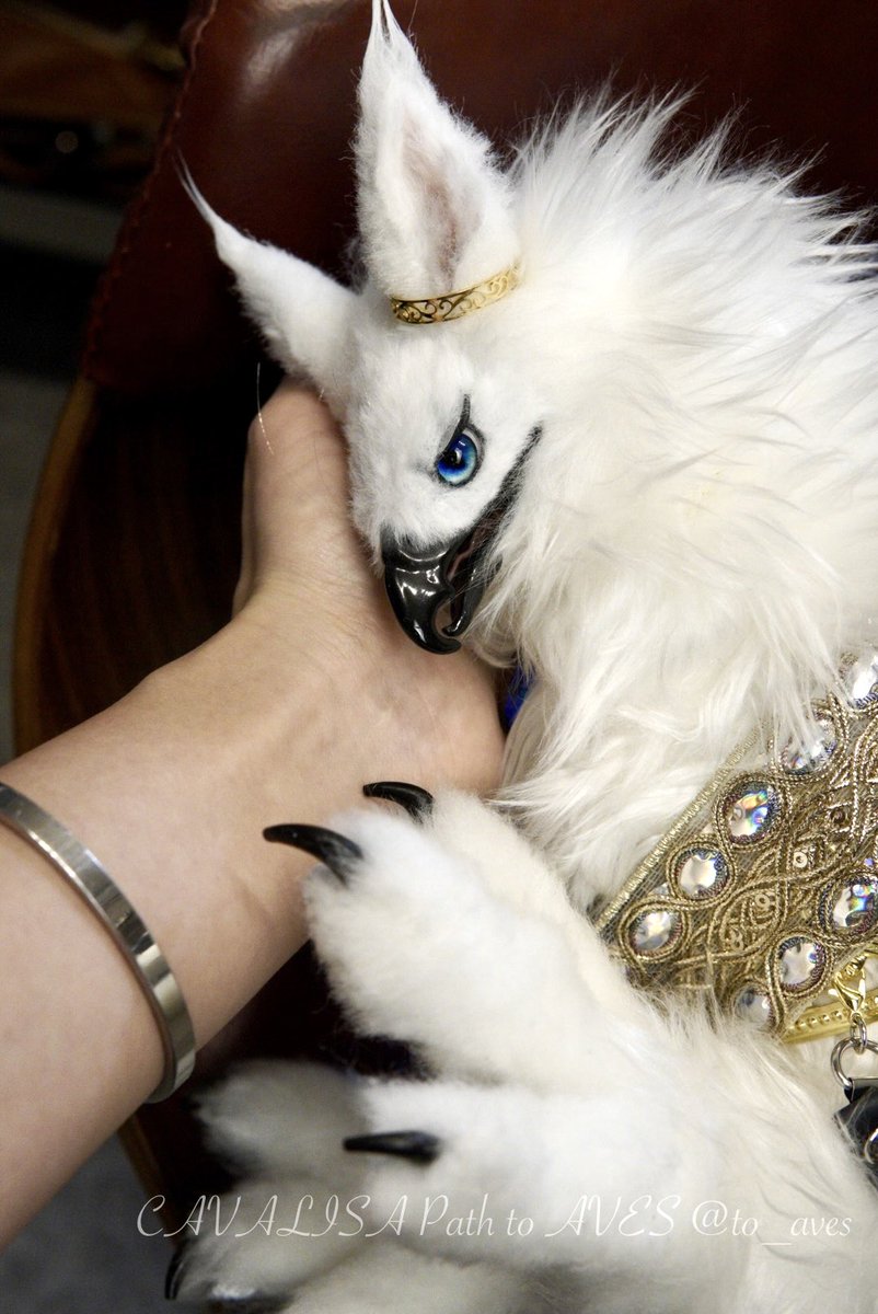 CAVALISA/アートドール作家 (@to_aves) / Posts / X