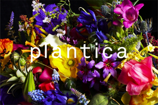 海外でも人気のフラワーアート・ユニット「plantica（プランティカ