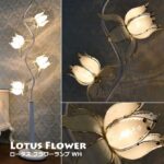 bt-lotus-flower-flr-wh-150x150.jpg