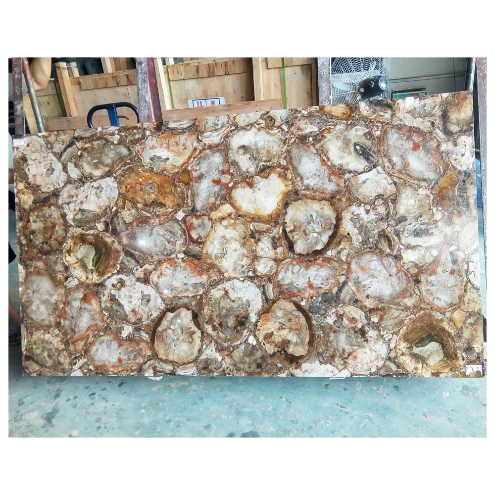 化石木、化石木スラブタイル/化石石 販売中| Alibaba.com