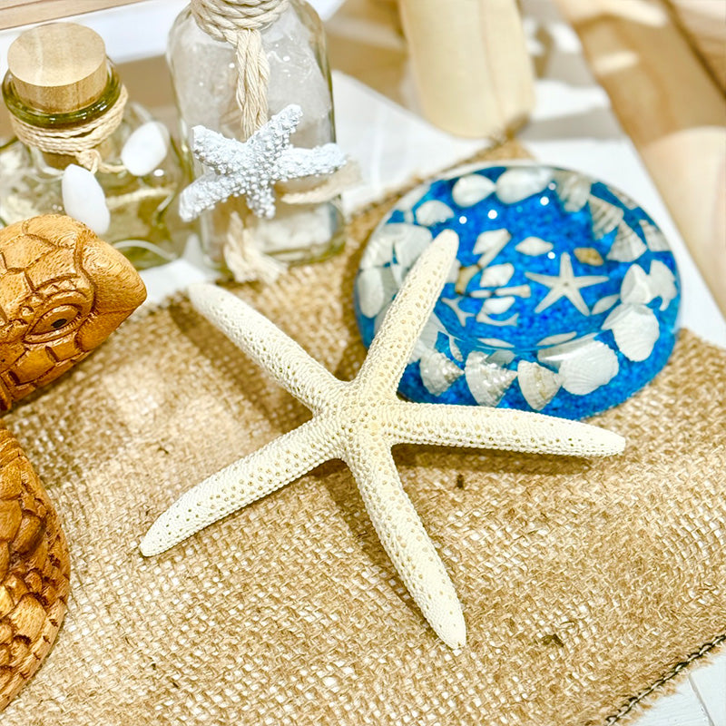 本物のひとでのオブジェ ハワイアン雑貨 スターフィッシュ 海の星 星型