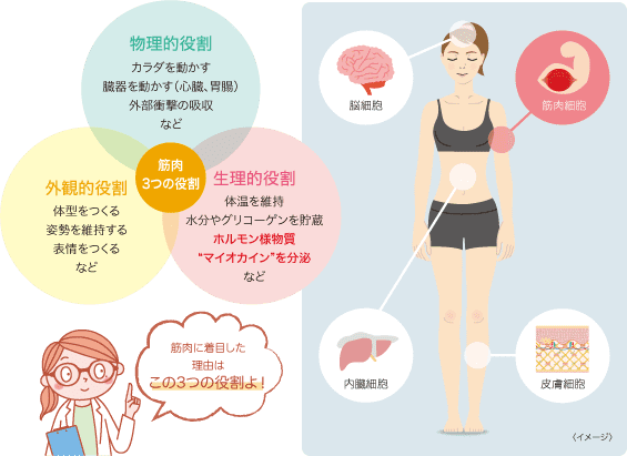 エイ エックス セブン ビーエム セラム ＆ エモーショナル プロ