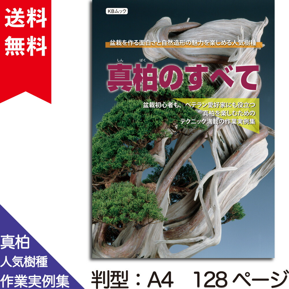 楽天市場】【送料無料】 盆栽 育て方 本 黒松の育て方 （盆栽樹種別