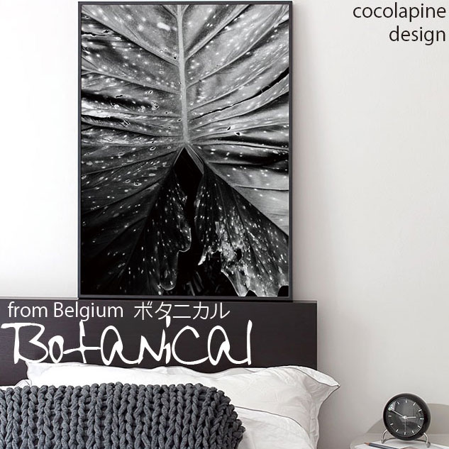 楽天市場】Coco Lapine design ポスター 北欧 ココラパンデザイン
