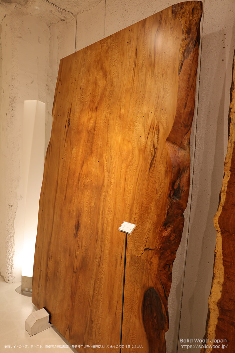 ヤクスギ（屋久杉）の一枚板 | 無垢材とは | 一枚板比較