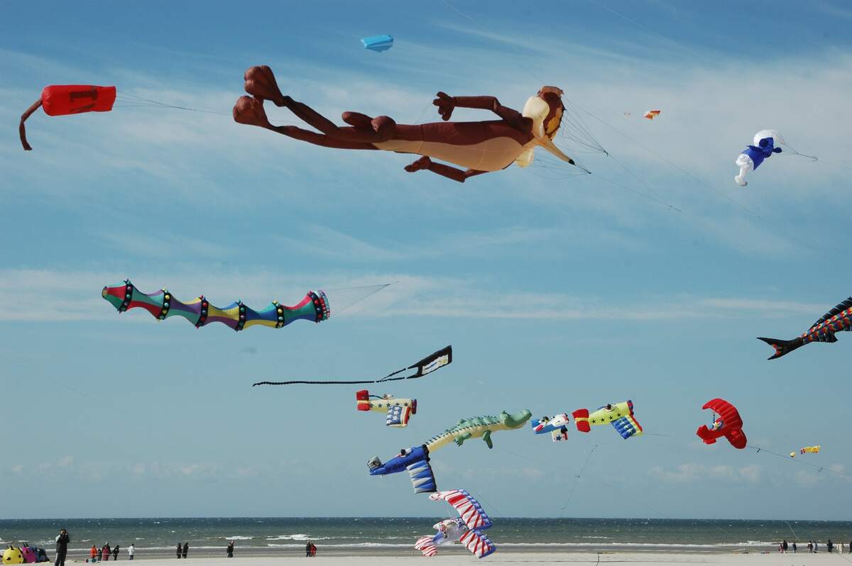 Fly a Kite Day | Holiday | Checkiday.com