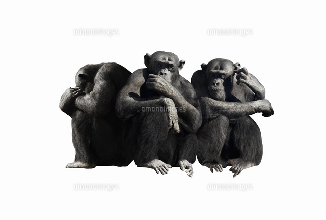 三猿 見ざる言わざる聞かざる[10610003116]の写真・イラスト素材