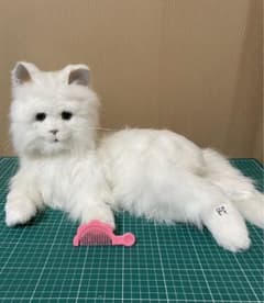 m44161142810_1.jpg?1717574614