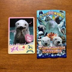 鳥羽水族館 コレクションカード メイ - メルカリ