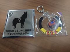 コスタノヴァ 2025年GⅠレース優勝馬 アクリルキーホルダー - メルカリ