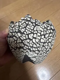 2026年最新】konect fangの人気アイテム - メルカリ