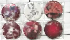 2026年最新】となりの坂田 缶バッジ キングダムの人気アイテム - メルカリ