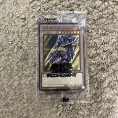 2026年最新】暗黒騎士ガイア ブルシクの人気アイテム - メルカリ