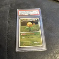 2026年最新】レジェンド ミラー psa10の人気アイテム - メルカリ